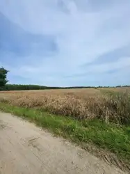 Zdjęcie 1
