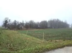 Zdjęcie 1