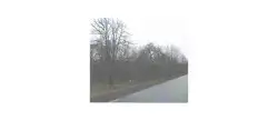 Zdjęcie 1