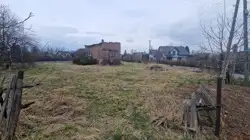 Zdjęcie 1