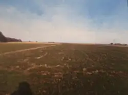 Zdjęcie 1