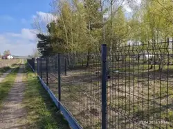 Zdjęcie 1