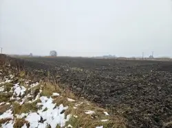 Zdjęcie 1
