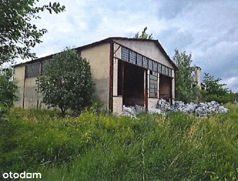 Zdjęcie 1