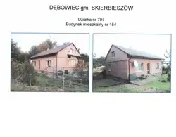 Zdjęcie 1