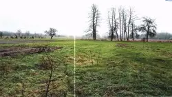 Zdjęcie 1