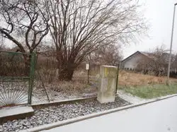 Zdjęcie 1
