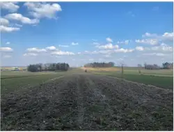 Zdjęcie 1