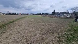 Zdjęcie 1