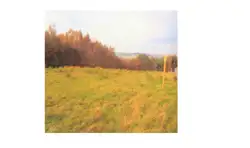 Zdjęcie 1