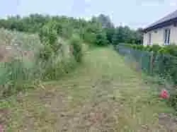Zdjęcie 1