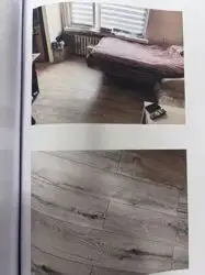 Zdjęcie 1