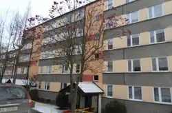 Zdjęcie 1