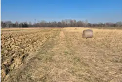 Zdjęcie 1
