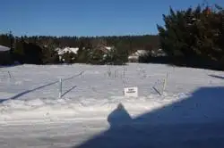 Zdjęcie 1