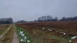 Zdjęcie 1