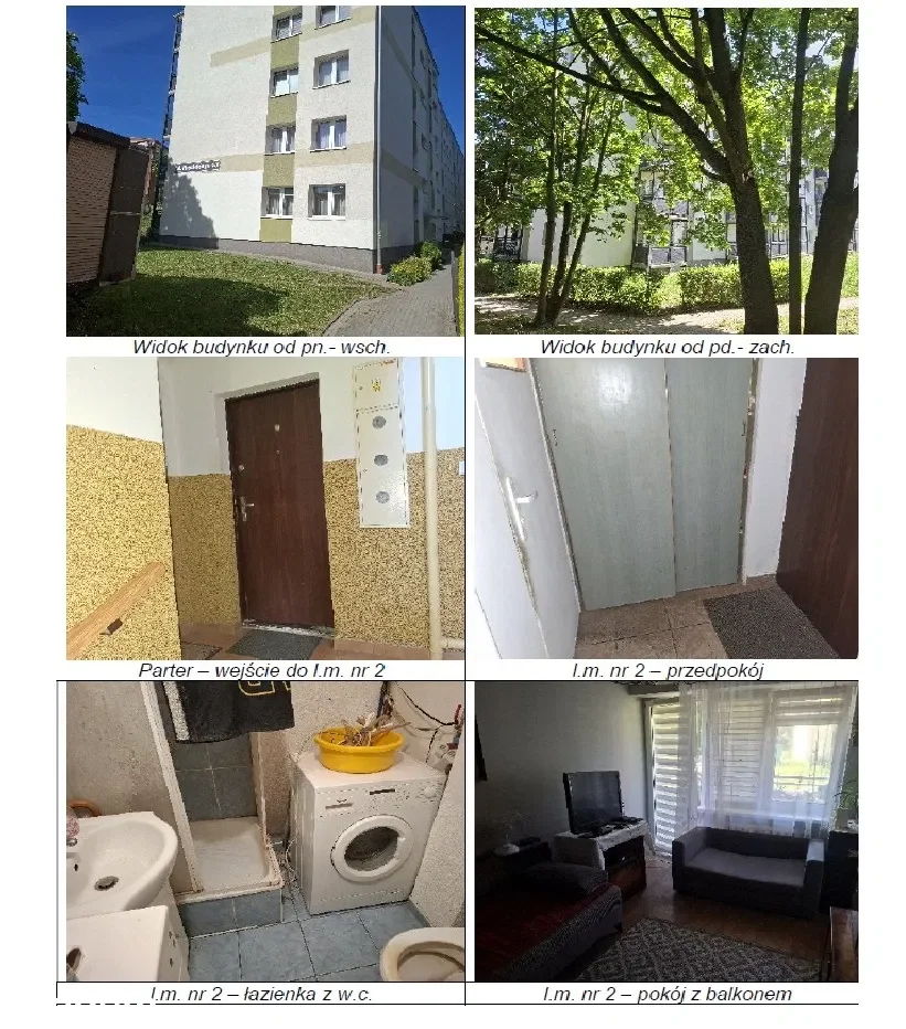 Zdjęcie 1
