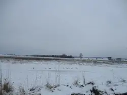 Zdjęcie 1