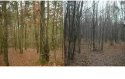 Zdjęcie 1