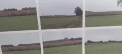 Zdjęcie 1