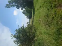 Zdjęcie 1