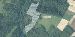 Zdjęcie 1