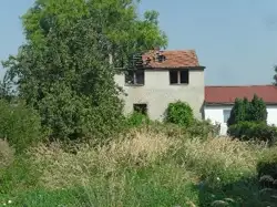 Zdjęcie 1