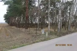 Zdjęcie 1