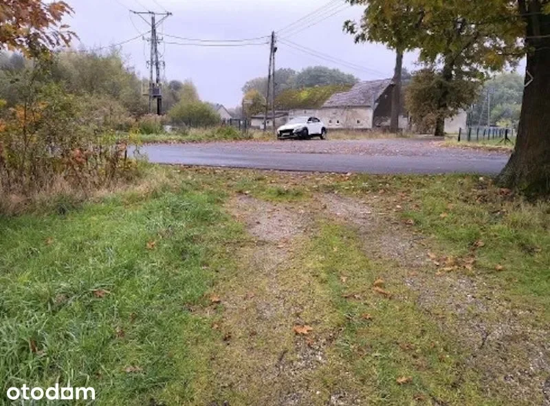 Zdjęcie 1