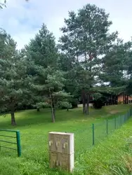 Zdjęcie 1