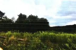 Zdjęcie 1