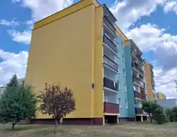 Zdjęcie 1