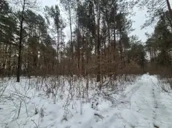 Zdjęcie 1