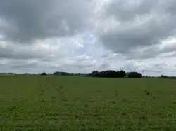 Zdjęcie 1