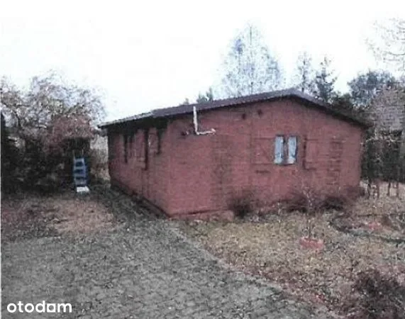 Zdjęcie 1