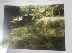 Zdjęcie 1