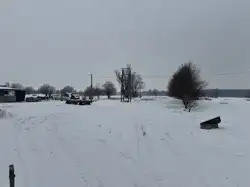 Zdjęcie 1