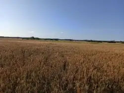 Zdjęcie 1