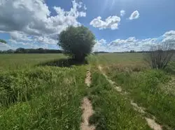 Zdjęcie 1