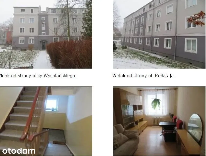 Zdjęcie 1