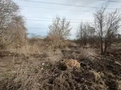 Zdjęcie 1