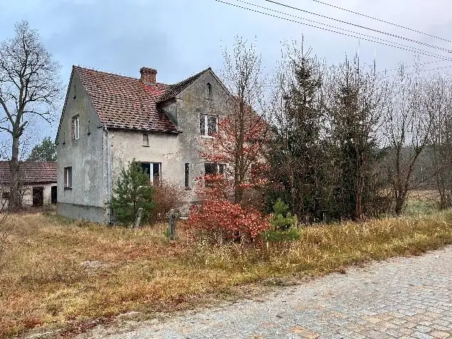 Zdjęcie 1