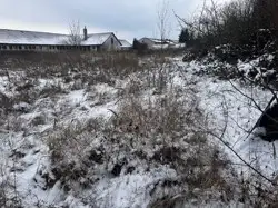 Zdjęcie 1