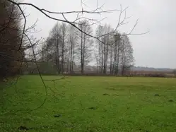 Zdjęcie 1
