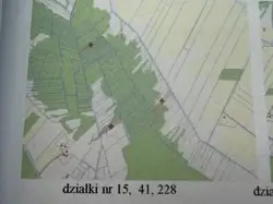 Zdjęcie 1