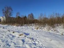 Zdjęcie 1