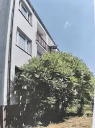 Zdjęcie 1