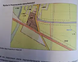 Zdjęcie 1