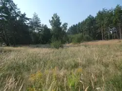 Zdjęcie 1