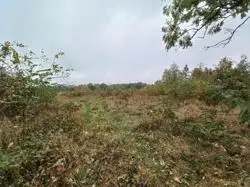 Zdjęcie 1